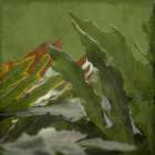 Botanical Garden Art Print