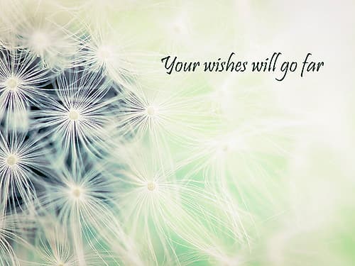 Wishes Green Art Print