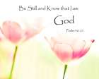 Be Still And Know Art Print
