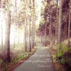 Pathway To Life Art Print