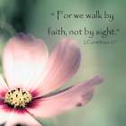 Pink Cosmo Walk In Faith Art Print