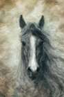 Leader Of Harmony 1 Art Print