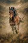 Scandalous Dust 1 Art Print