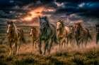 Juvenile Perseverance 4 Art Print