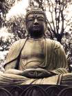 Japanese Buddha Statue Art Print by Urban Epiphany