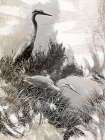 Japanese Herons Art Print by Urban Epiphany