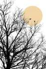 Two Little Birds 2 Art Print by Urban Epiphany