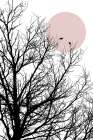Two Little Birds Art Print by Urban Epiphany