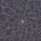 Black And Grey Succulents 1 Art Print by Urban Epiphany