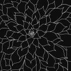 Black And Grey Succulents 2 Art Print by Urban Epiphany