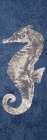 Sea Horse Adventurer 1 Art Print