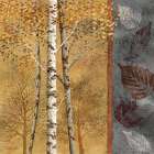 Birch Trees in Autumn II Art Print