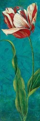 Sultans Garden II Art Print