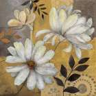 Junes Blooms I