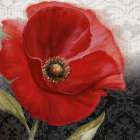 Poppy Perfection I Art Print