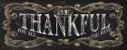 Be Thankful Art Print