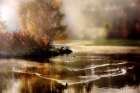 Morning Solace Art Print