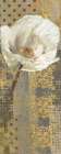 White Poppy Shimmer I Art Print by Nan
