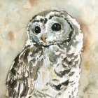 Woodland Owl Art Print