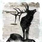 Birchbark Elk
