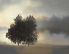Misty Morning Art Print by Nan