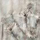 Natural Ones II