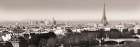 Paris View Triptych