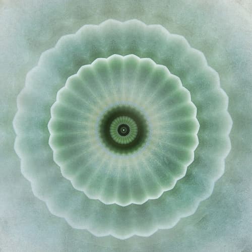Kaleidoscope Succulent I Signs Print