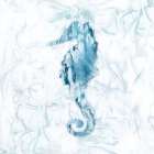 Blue Marble Seahorse