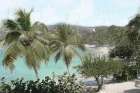 Vacation Paradise