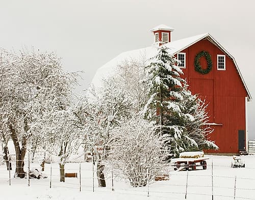 Festive Barn Art Print