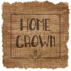Home Grown Kitchen Print