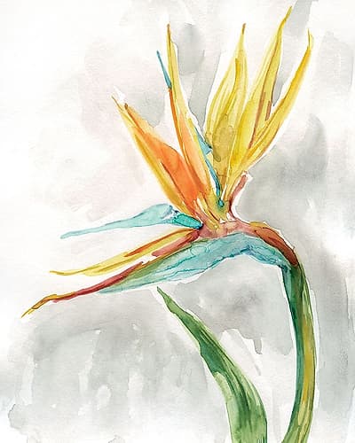 Bird of Paradise II Art Print by Carol Robinson