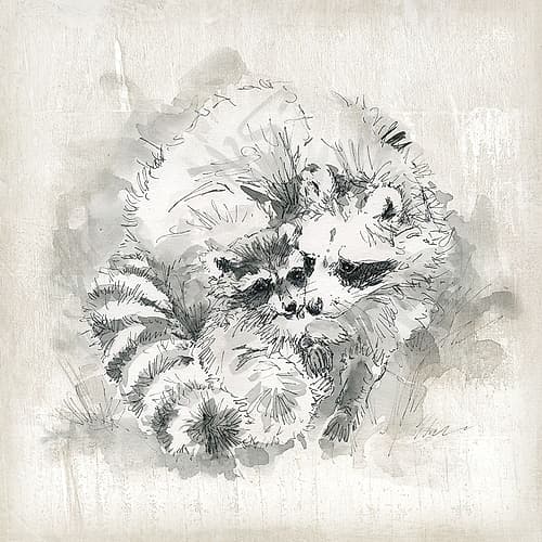 Raccoon Momma and Baby Art Print