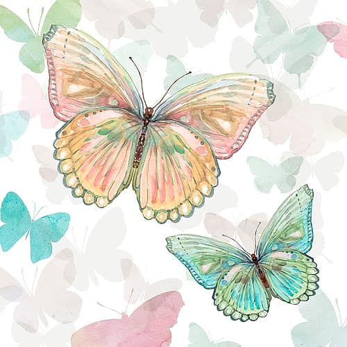Asbury Garden Butterflies I Art Print