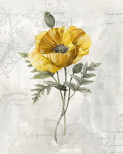 Canaray Linen Poppy Art Print