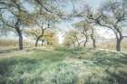 Charming Spring Mood Art Print