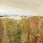 Dream Fields