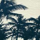 Caicos II