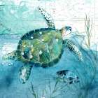 Island Swim I Art Print
