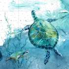 Island Swim II Art Print