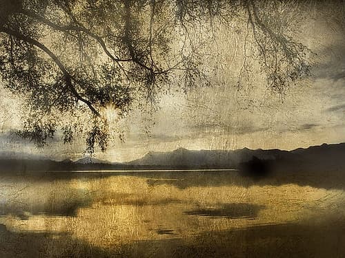 Golden Staffelsee Lake Coastal Print