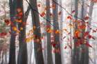 Falling Moments Art Print