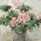 Potted Geranium Art Print