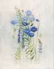 Cottage Wildflowers III Art Print