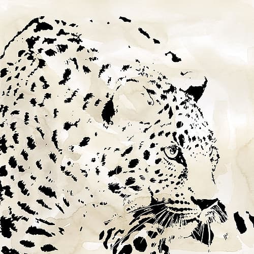 Leopard Spots IV Art Print