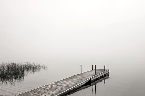 Morning Mist Coastal Print