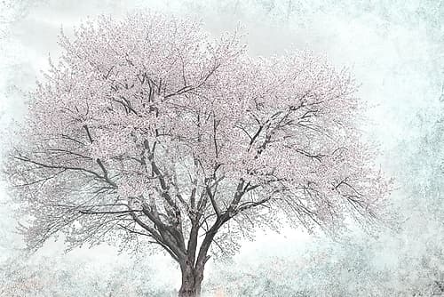 A Feel of Spring I Art Print