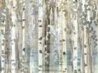 Birch Wood Meadow Art Print