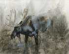 Majestic Elk Art Print